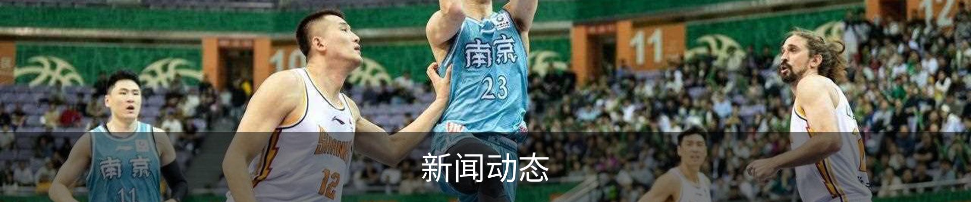 新闻动态